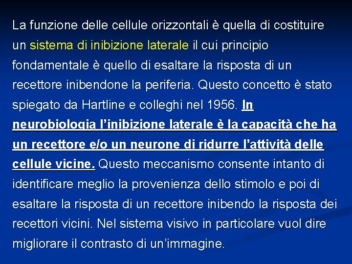 La funzione delle cellule orizzontali è quella di costituire un sistema di inibizione laterale