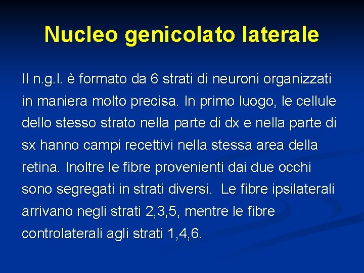 Nucleo genicolato laterale Il n. g. l. è formato da 6 strati di neuroni