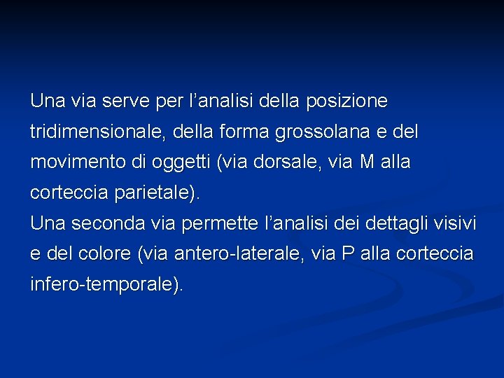 Una via serve per l’analisi della posizione tridimensionale, della forma grossolana e del movimento