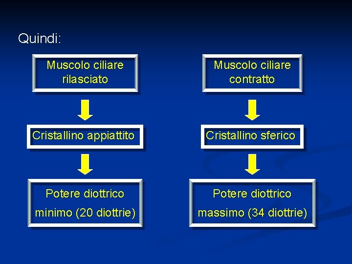 Quindi: Muscolo ciliare rilasciato Muscolo ciliare contratto Cristallino appiattito Cristallino sferico Potere diottrico minimo