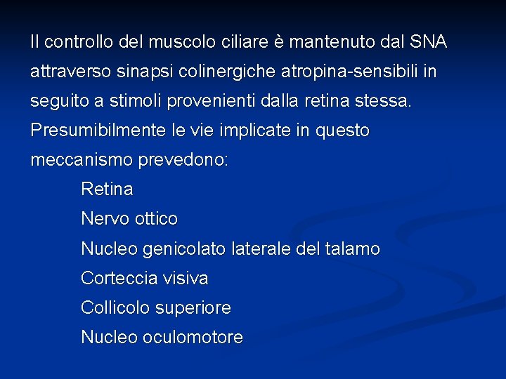 Il controllo del muscolo ciliare è mantenuto dal SNA attraverso sinapsi colinergiche atropina-sensibili in