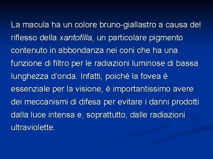 La macula ha un colore bruno-giallastro a causa del riflesso della xantofilla, un particolare