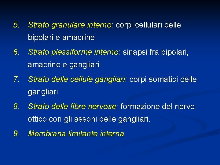 5. Strato granulare interno: corpi cellulari delle bipolari e amacrine 6. Strato plessiforme interno: