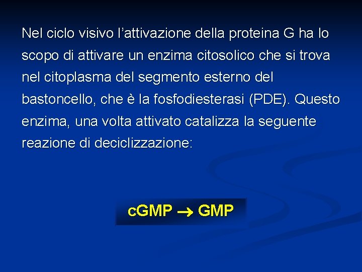 Nel ciclo visivo l’attivazione della proteina G ha lo scopo di attivare un enzima