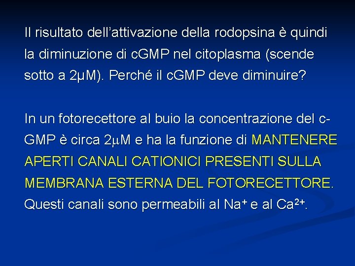 Il risultato dell’attivazione della rodopsina è quindi la diminuzione di c. GMP nel citoplasma