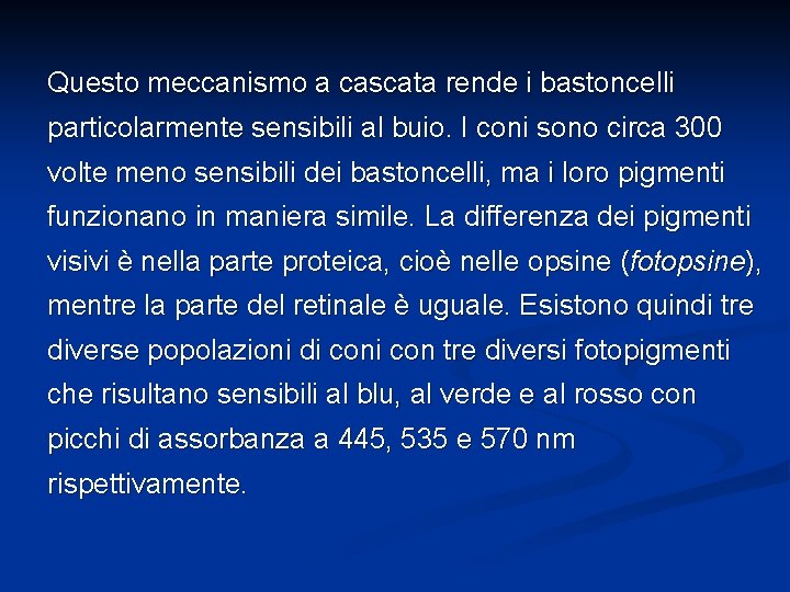 Questo meccanismo a cascata rende i bastoncelli particolarmente sensibili al buio. I coni sono