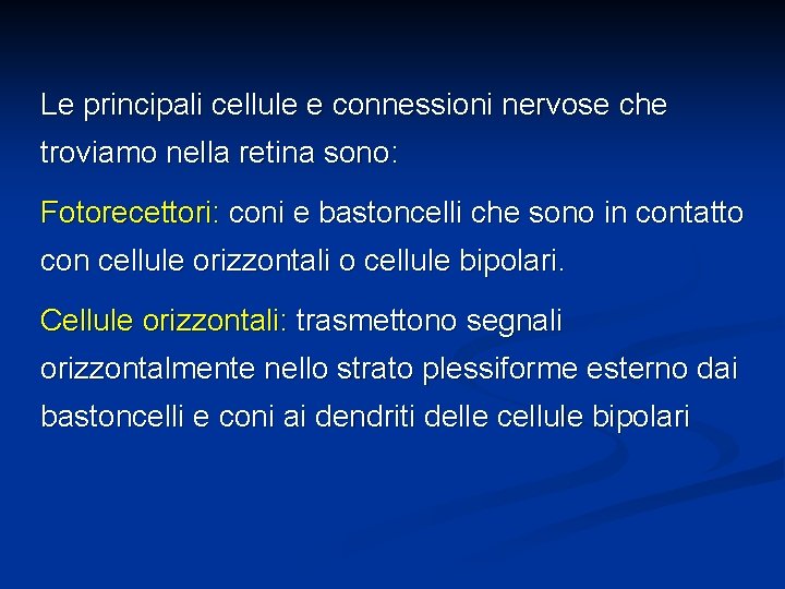 Le principali cellule e connessioni nervose che troviamo nella retina sono: Fotorecettori: coni e