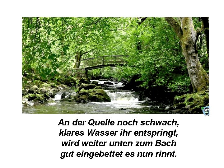 An der Quelle noch schwach, klares Wasser ihr entspringt, wird weiter unten zum Bach