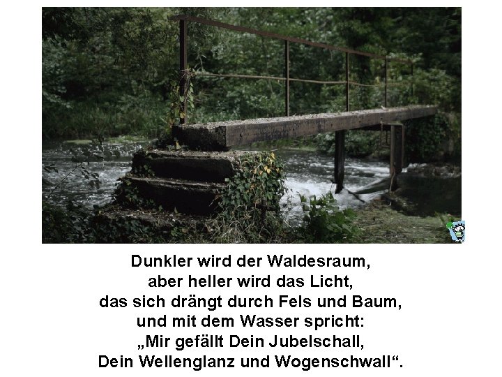 Dunkler wird der Waldesraum, aber heller wird das Licht, das sich drängt durch Fels