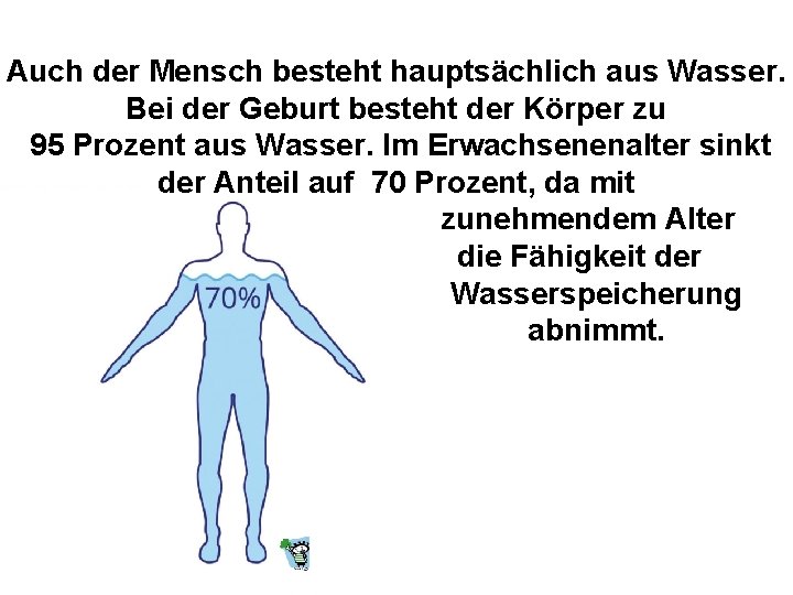 Auch der Mensch besteht hauptsächlich aus Wasser. Bei der Geburt besteht der Körper zu