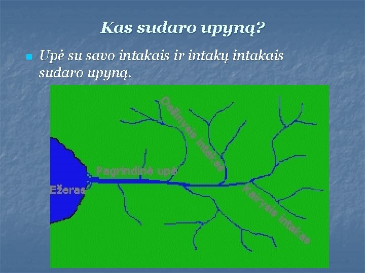 Kas sudaro upyną? n Upė su savo intakais ir intakų intakais sudaro upyną. 