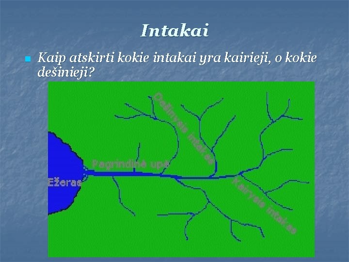 Intakai n Kaip atskirti kokie intakai yra kairieji, o kokie dešinieji? 