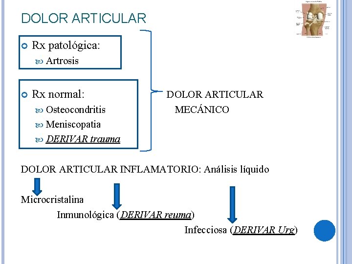 DOLOR ARTICULAR Rx patológica: Artrosis Rx normal: Osteocondritis DOLOR ARTICULAR MECÁNICO Meniscopatia DERIVAR trauma DOLOR ARTICULAR Rx patológica: Artrosis Rx normal: Osteocondritis DOLOR ARTICULAR MECÁNICO Meniscopatia DERIVAR trauma