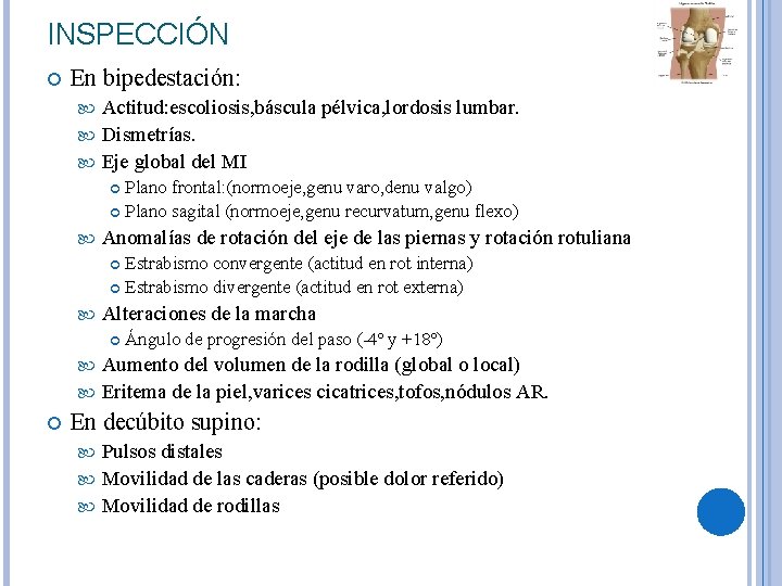 INSPECCIÓN En bipedestación: Actitud: escoliosis, báscula pélvica, lordosis lumbar. Dismetrías. Eje global del MI INSPECCIÓN En bipedestación: Actitud: escoliosis, báscula pélvica, lordosis lumbar. Dismetrías. Eje global del MI