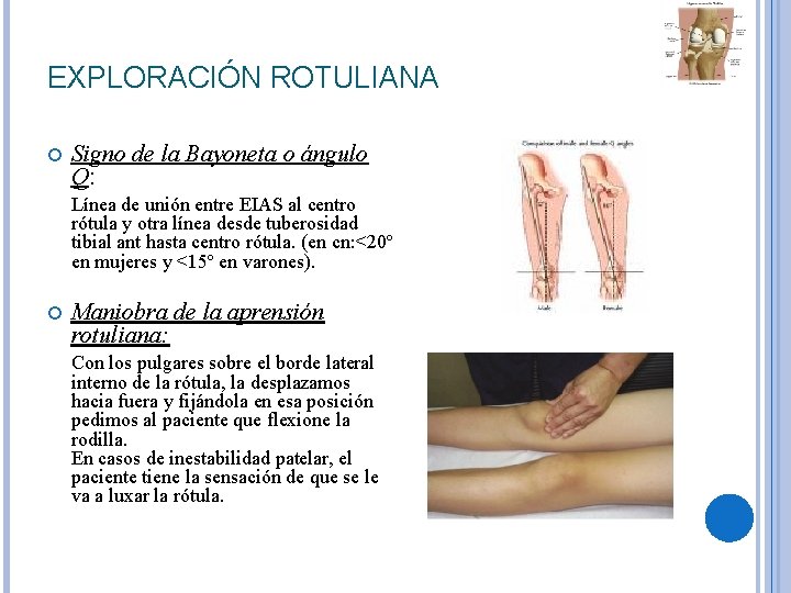 EXPLORACIÓN ROTULIANA Signo de la Bayoneta o ángulo Q: Línea de unión entre EIAS EXPLORACIÓN ROTULIANA Signo de la Bayoneta o ángulo Q: Línea de unión entre EIAS