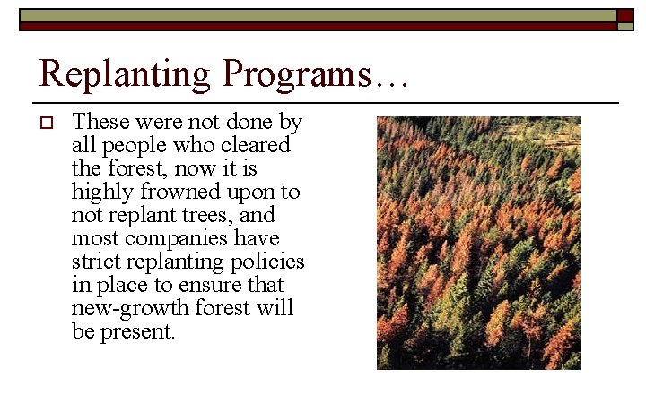 Replanting Programs… o These were not done by all people who cleared the forest,