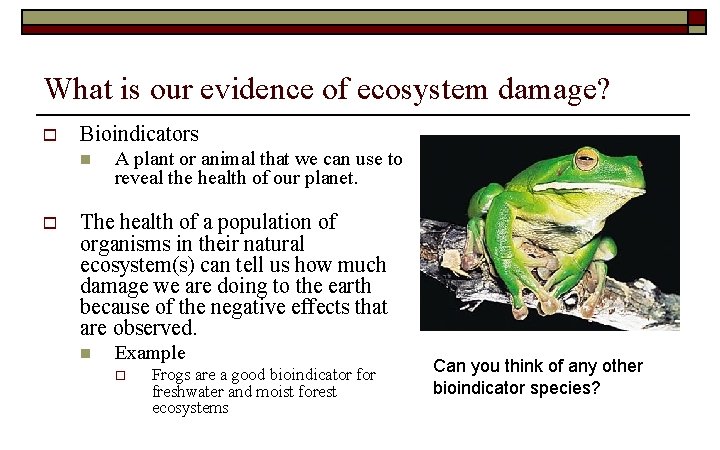 What is our evidence of ecosystem damage? o Bioindicators n o A plant or