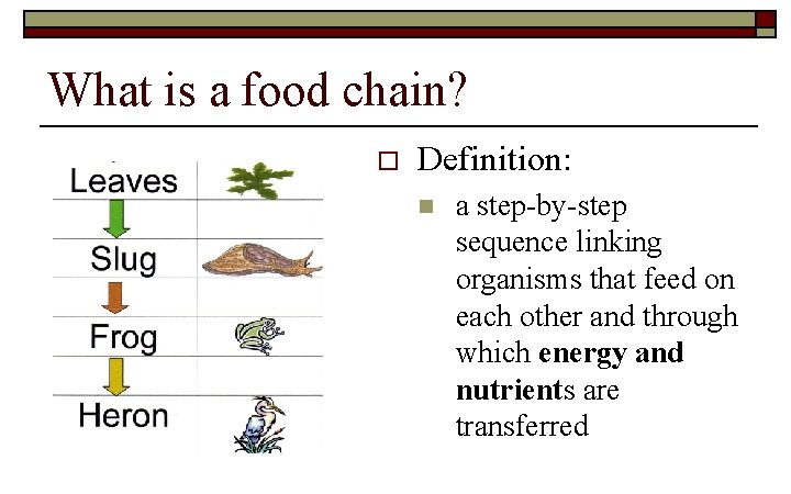 What is a food chain? o Definition: n a step-by-step sequence linking organisms that