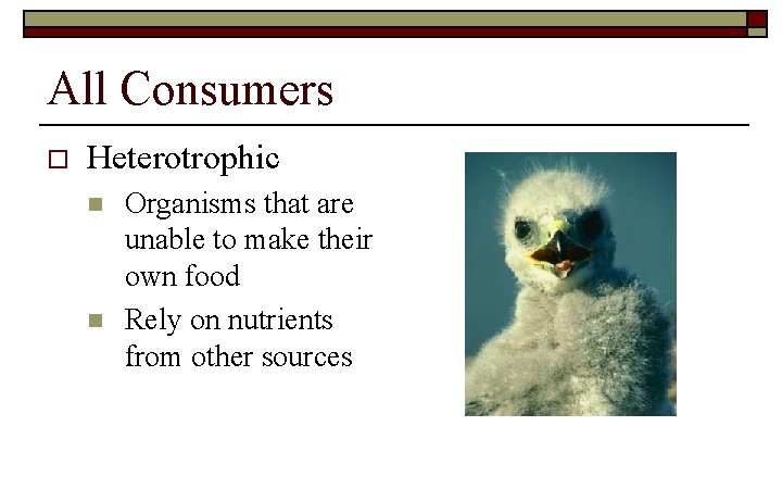 All Consumers o Heterotrophic n n Organisms that are unable to make their own