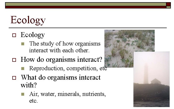 Ecology o Ecology n o How do organisms interact? n o The study of
