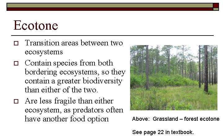Ecotone o o o Transition areas between two ecosystems Contain species from both bordering