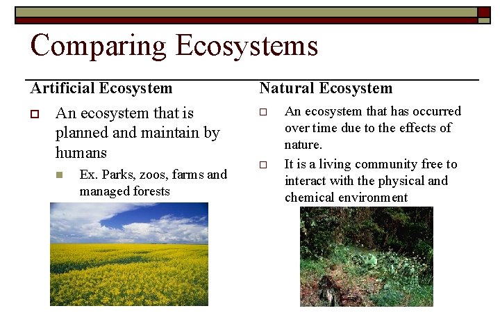 Comparing Ecosystems Artificial Ecosystem o An ecosystem that is planned and maintain by humans