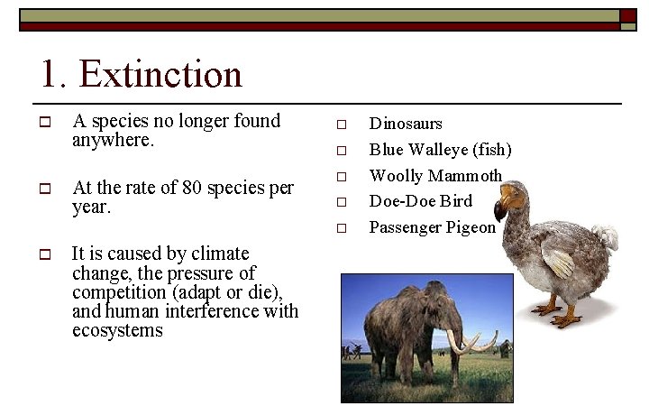 1. Extinction o o A species no longer found anywhere. At the rate of