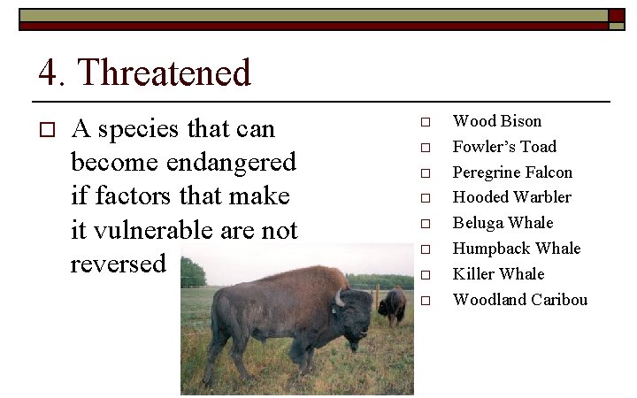 4. Threatened o A species that can become endangered if factors that make it