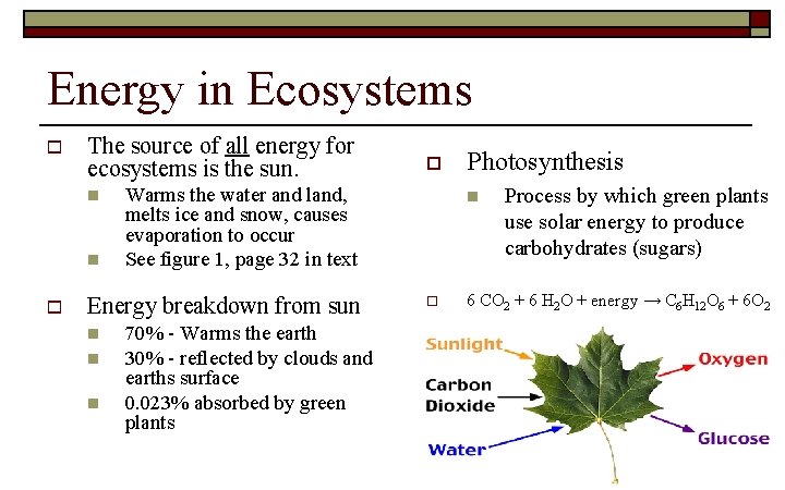 Energy in Ecosystems o The source of all energy for ecosystems is the sun.