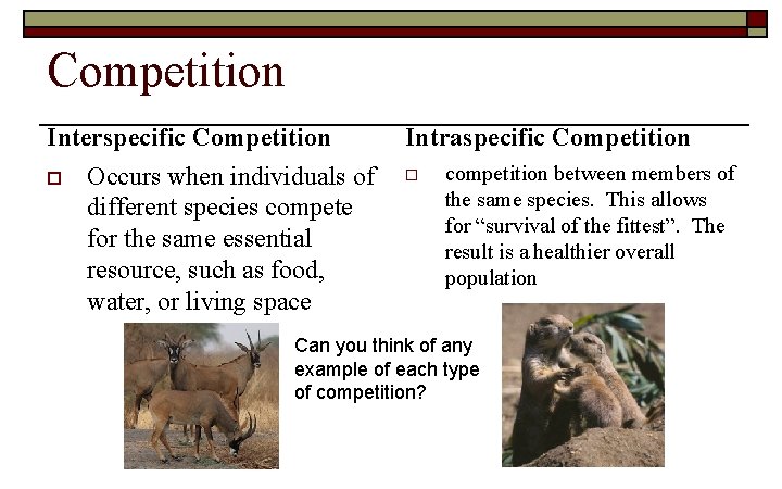 Competition Interspecific Competition o Occurs when individuals of different species compete for the same