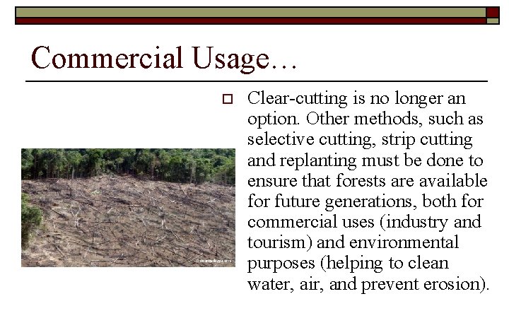 Commercial Usage… o Clear-cutting is no longer an option. Other methods, such as selective