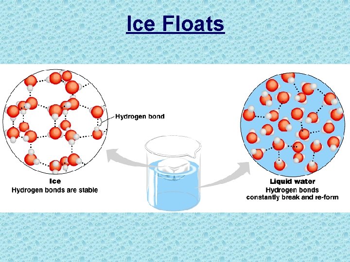 Ice Floats 