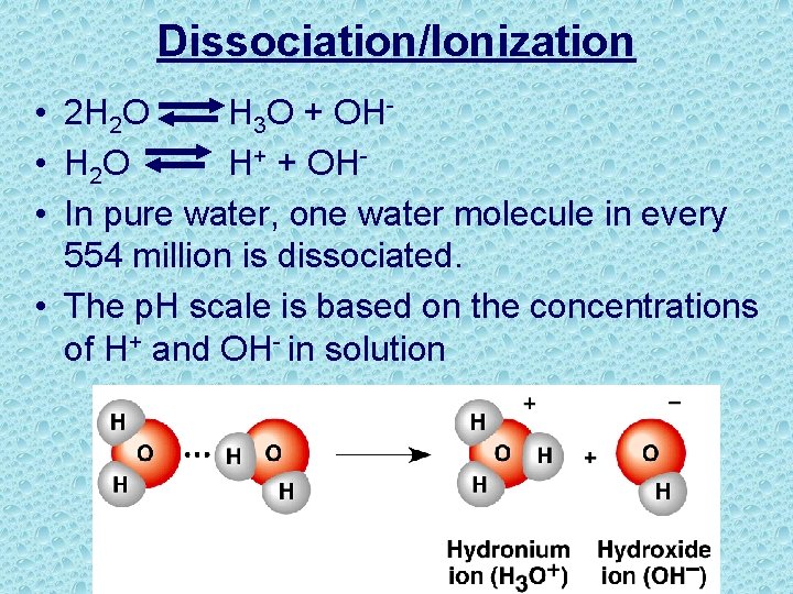 Dissociation/Ionization • 2 H 2 O H 3 O + OH • H 2