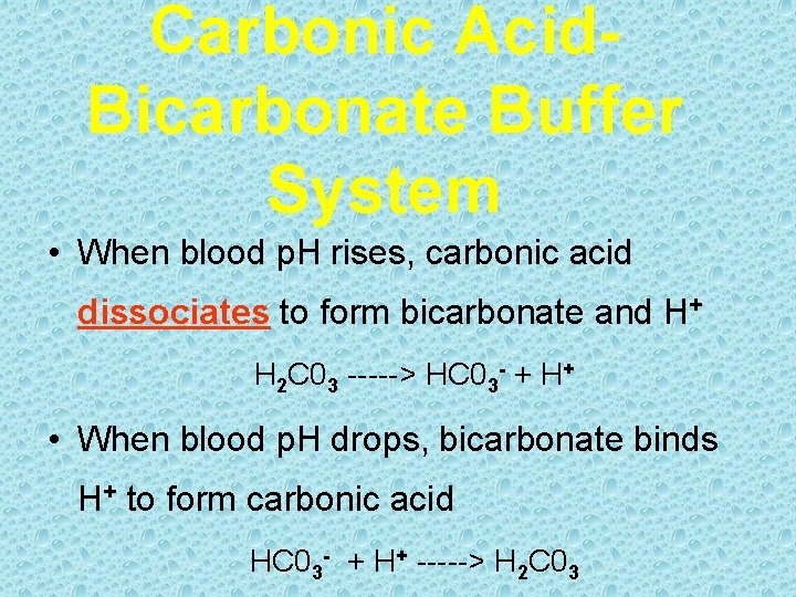 Carbonic Acid. Bicarbonate Buffer System • When blood p. H rises, carbonic acid dissociates