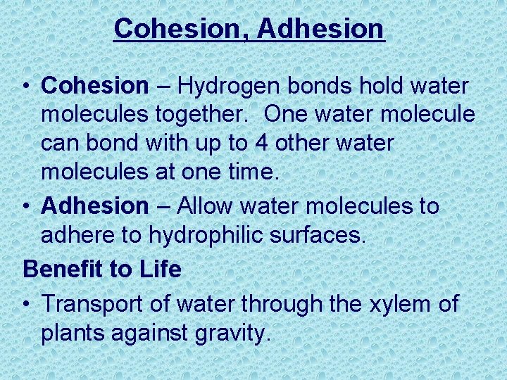 Cohesion, Adhesion • Cohesion – Hydrogen bonds hold water molecules together. One water molecule