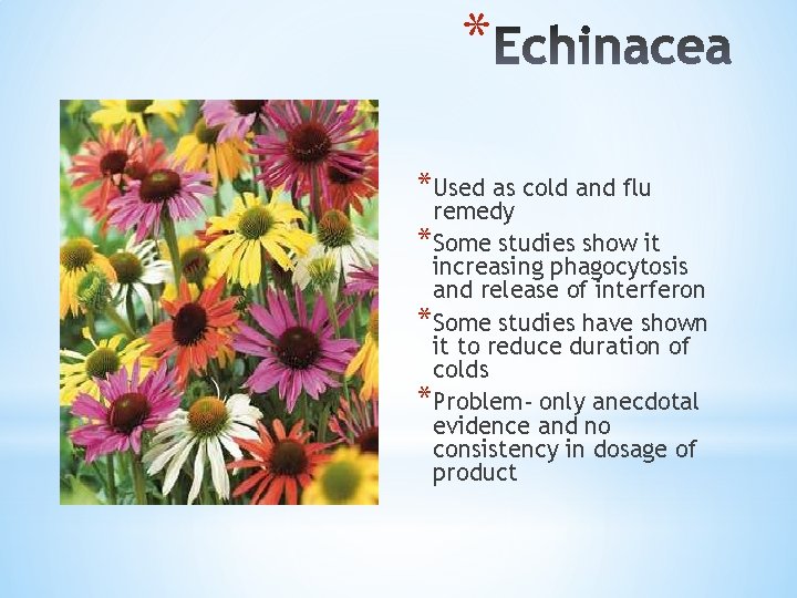 * *Used as cold and flu remedy *Some studies show it increasing phagocytosis and