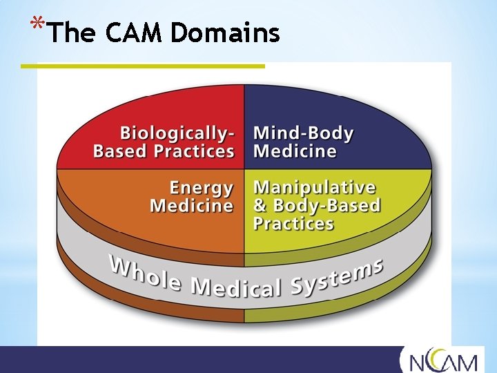 *The CAM Domains 