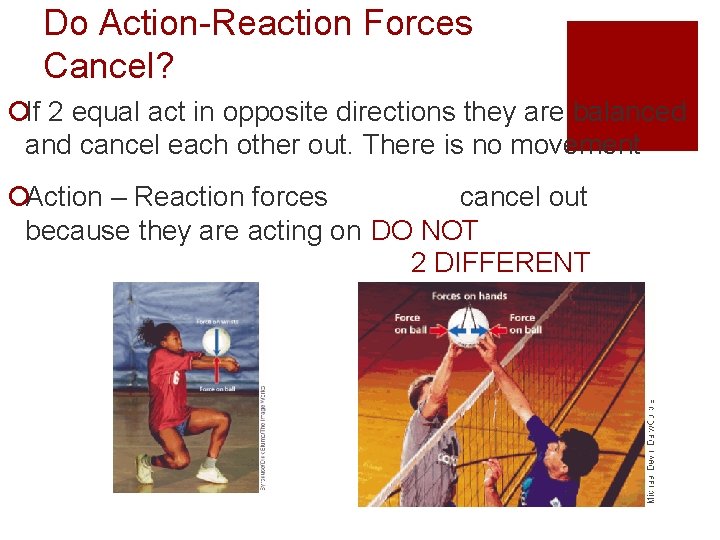 Do Action-Reaction Forces Cancel? ¡If 2 equal act in opposite directions they are balanced