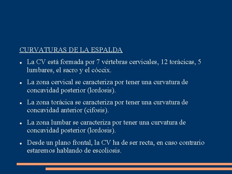CURVATURAS DE LA ESPALDA La CV está formada por 7 vértebras cervicales, 12 torácicas,