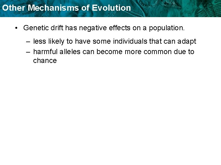 Other Mechanisms of Evolution • Genetic drift has negative effects on a population. – Other Mechanisms of Evolution • Genetic drift has negative effects on a population. –