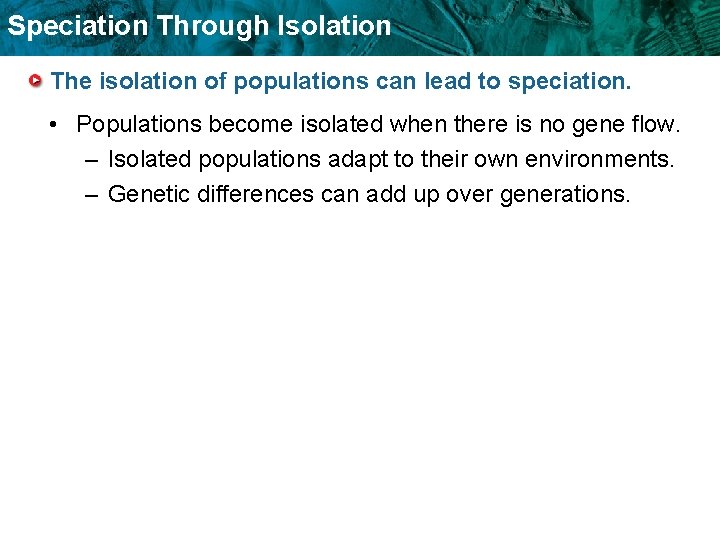 Speciation Through Isolation The isolation of populations can lead to speciation. • Populations become