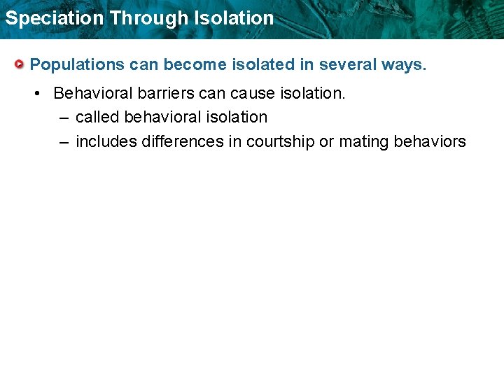 Speciation Through Isolation Populations can become isolated in several ways. • Behavioral barriers can