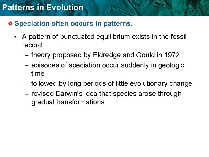 Patterns in Evolution Speciation often occurs in patterns. • A pattern of punctuated equilibrium