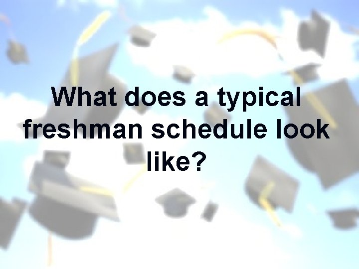 What does a typical freshman schedule look like? 