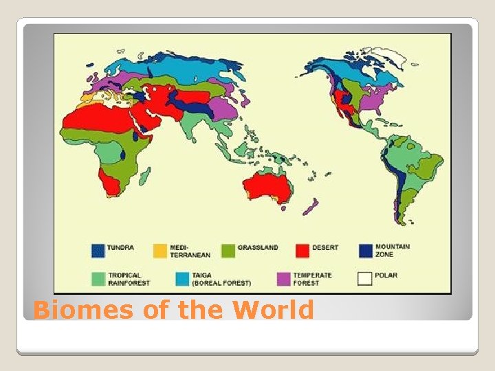 Biomes of the World 