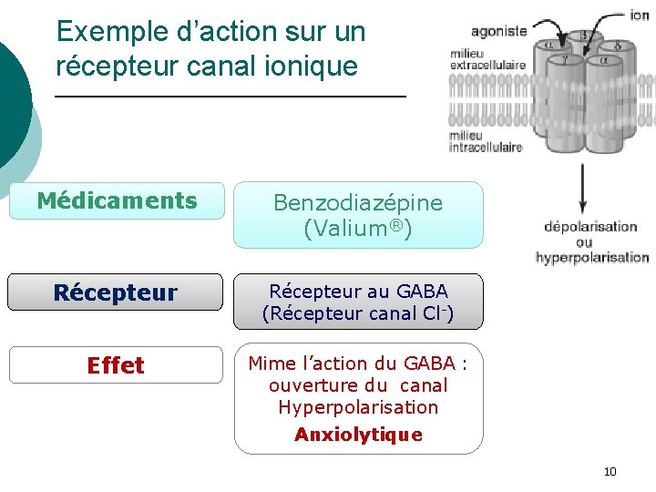 Exemple d’action sur un récepteur canal ionique Médicaments Benzodiazépine (Valium®) Récepteur au GABA (Récepteur