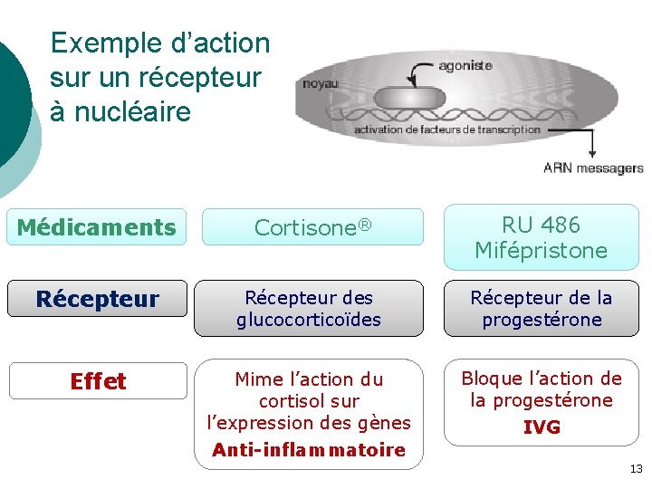 Exemple d’action sur un récepteur à nucléaire Médicaments Cortisone® RU 486 Mifépristone Récepteur des