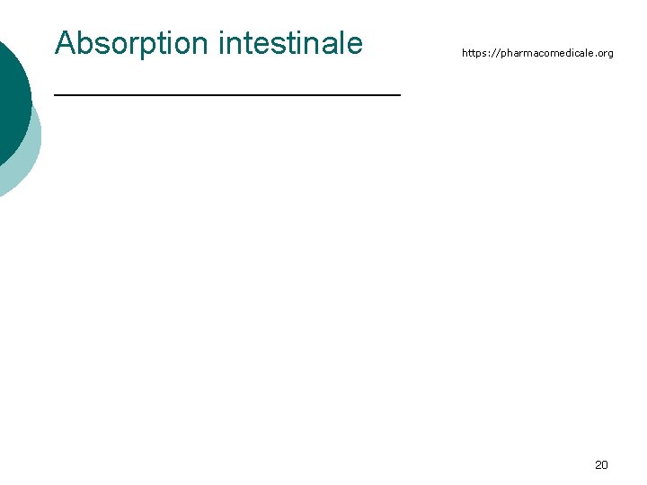 Absorption intestinale https: //pharmacomedicale. org 20 