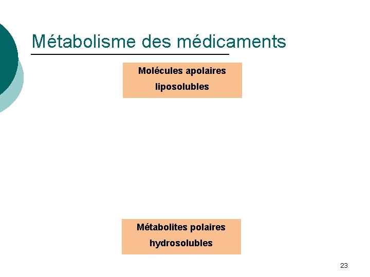 Métabolisme des médicaments Molécules apolaires liposolubles Métabolites polaires hydrosolubles 23 