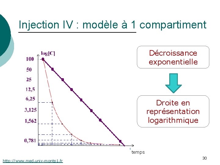 Injection IV : modèle à 1 compartiment Décroissance exponentielle Droite en représentation logarithmique temps
